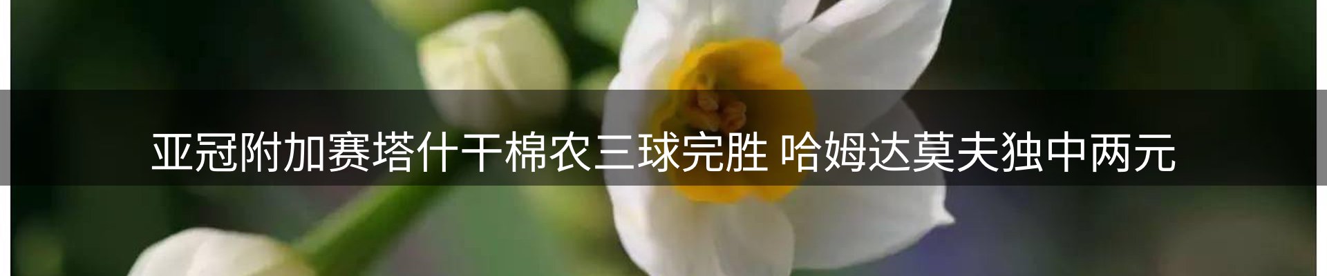 赛事资讯